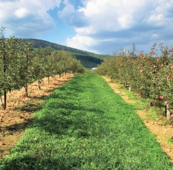 BONNES PRATIQUES AGRICOLES 